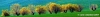 san_severino_marche001
