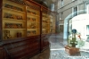 sant_elpidio51