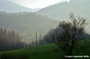 sassoferrato07