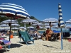 sirolo_conchiglia1