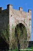 tolentino008