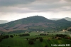 treia_san_lorenzo1