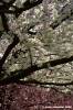 urbania05