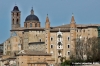 urbino49