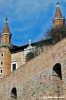 urbino51