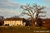 villa_musone_campagna1