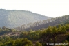 appennino_bocca_serriola01