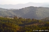 appennino_bocca_serriola02