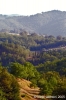 appennino_bocca_serriola03