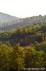 appennino_bocca_serriola04