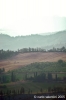 appennino_bocca_serriola12