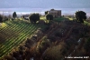 citta_della_pieve23