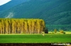 colfiorito04