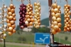 colfiorito04_050825