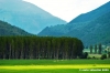 colfiorito08