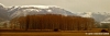 colfiorito1