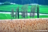 colfiorito18