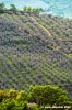 foligno_campagna3