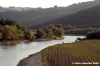 lago_corbara03