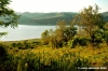 lago_corbara08