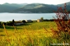 lago_corbara11