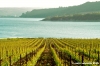 lago_corbara12