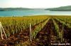 lago_corbara13b