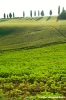 marsciano01