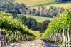 marsciano05