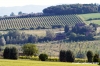 marsciano13