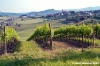 marsciano19