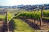 marsciano20