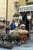 norcia01