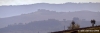 orvieto3_061107