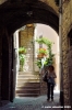 spello26
