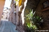 spello56