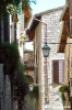 spello84