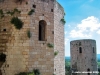 spello89