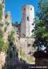 spello99