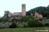 todi2