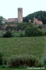 todi3