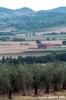 trasimeno_magione1