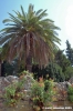 trasimeno_monte_lago35