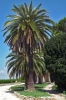 trasimeno_monte_lago36