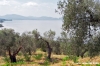 trasimeno_monte_lago39