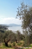 trasimeno_monte_lago40