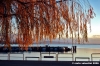 trasimeno_passignano04