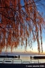 trasimeno_passignano06