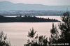 trasimeno_polvese002
