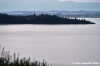 trasimeno_polvese004